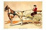 Buy Painted Harness Pony at AllPosters.com