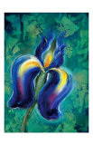 Buy Iris II at AllPosters.com