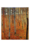 Beach Forest