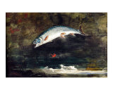 Jumping Trout