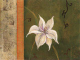 Dynamic Design I