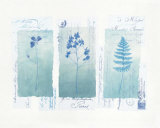Buy Designer Stamp II at AllPosters.com