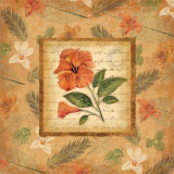 Orange Divine II