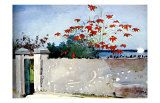 Buy Wall Nassau at AllPosters.com