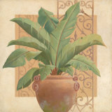 Buy Grand Palm II at AllPosters.com