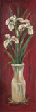 Joyce's Irises II
