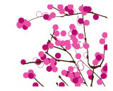Buy Pink blossoms at AllPosters.com