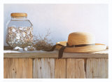 Still Life with Seashells
