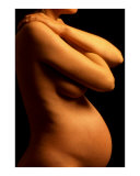 The Pregnancy