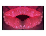 Rose Petal Lips