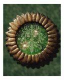 Green Man Medallion