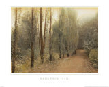 Hazelwood Trail Art Print