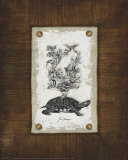 Vintage Home and Garden I