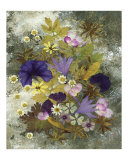 Buy Morning Glory at AllPosters.com