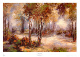 Buy Shades of Light at AllPosters.com
