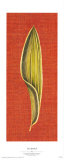 Buy Tao Spirit II at AllPosters.com