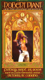 Robert Plant Victoria Concert