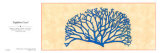 Buy Sapphire Coral at AllPosters.com