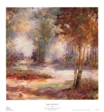 Buy Light in Balance I at AllPosters.com