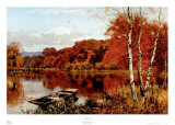 Autumn's Fire