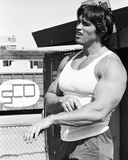 Buy Arnold Schwarzenegger at AllPosters.com