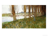 Buy The Amber Vale, a Host of Golden Daffodils at AllPosters.com