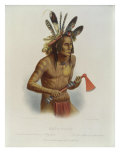 Buy Mato-Tope at AllPosters.com