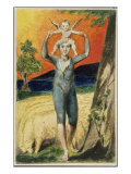 Buy Songs of Innocence and Experience at AllPosters.com