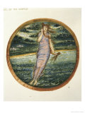 Marvel of the World Birth of Venus
