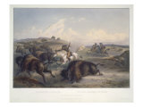 Buy Indians Hunting the Bison at AllPosters.com