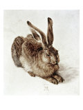 Buy The Young Hare at AllPosters.com