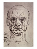 Proportions of the Face