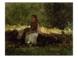 Buy On the Fence at AllPosters.com