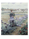 The Flower Fields