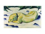 Dog Lying in the Snow