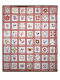 Baltimore Album Quilt Cover
