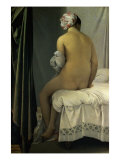 The Bather of Valpincon