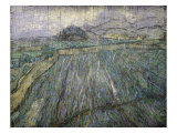 The Storm