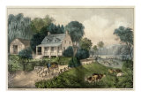 American Homestead Summer