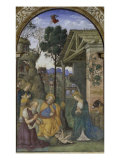 Buy The Nativity at AllPosters.com