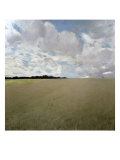 Buy Landscape at AllPosters.com