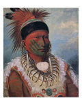 White Cloud, Chief of the Iowas