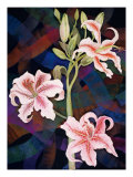 Buy Three Rubrum Lilies at AllPosters.com