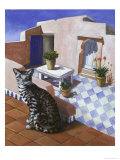Buy Cat of Morocco (Chat Du Maroc) at AllPosters.com