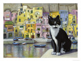 Cat in Corricella, Italy