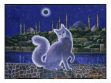 Buy Angora Cat, Istanbul at AllPosters.com
