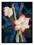 Buy Two Amaryllis at AllPosters.com