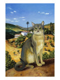 Abyssinian in the Vicinity of Seville