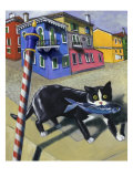 Cat of Burano (Chat de Burano)