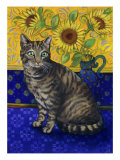 European Cat, Series I
